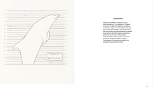 Load image into Gallery viewer, interior view of Everything is Dolphins