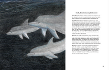 Load image into Gallery viewer, interior view of Everything is Dolphins